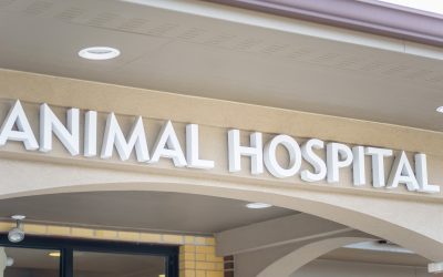 The Top 10 Benefits Of Partnering With A Trusted Commercial Sign Company In Alpharetta, Georgia